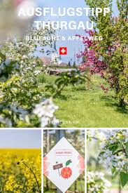 Bluescht Fascht Im Thurgau Ausflugstipp Und Wanderung Ausflug Reisen Schweiz Reise