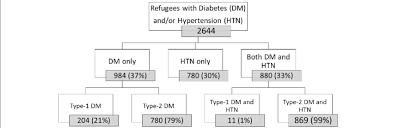 Flow Chart Syrian Patients With Diabetes And Hypertension
