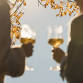 DOOR COUNTY WINE TOUR | LODGE KOHLER event image