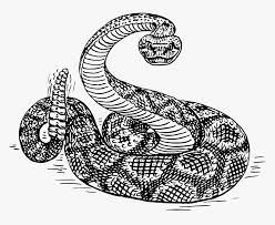 How to draw a rattlesnake.awesome! 19 Rattlesnake Vector Snake Symbol Huge Freebie Download Rattle Snake Clip Art Hd Png Download Kindpng