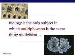 Ap Biology 2007 2008 Biology Is The Only Subject In Which Multiplication Is The Same Thing As Division Ap Biology Cell Cycle Cell Division