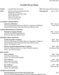Pin On Cv Template