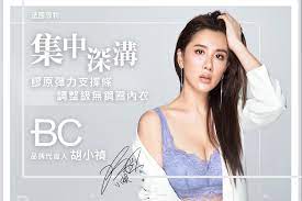 駐法國代表處 (駐法國台北代表處) 法國在台協會 國際關懷協會法國分會（care france） èƒ¡å°ç¦Žå¯¦ç©¿4å¹´æ¿€æŽ¨ æ³•åœ‹bcè† åŽŸå½ˆåŠ›æ·±æºå…§è¡£ Momoå¥½ç‰©é–‹ç®±éƒ¨è½æ ¼