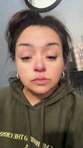 Discover the Best Biscoff Ice Cream Bars