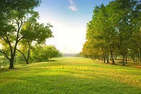  Wallpaper Pemandangan Alam 3d Google Search Grass Field Nature Background Grass Background