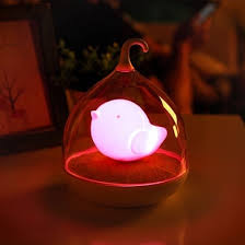 Cute Bird Cage Night Light Apollobox