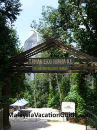 They've constructed raised trails for much of it, so you don't really get the 'feel' of jungle. Kl Forest Eco Park