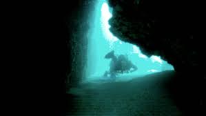 Scuba Divers Swim Through Underwater Stock Footage Video 100 Royalty Free 3061837 Shutterstock