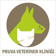 atasehir pruva veteriner klinigi home facebook