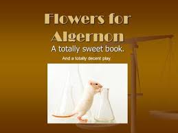 Check spelling or type a new query. Flowers For Algernon Daniel Keyes Discussion Questions 1 What Do The Test Results Reveal About Charlie S Ability And His Personality 2 Who Are Dr Strauss Ppt Download