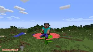 While it's easy enough to share a minecraft map with other local players on your network, it's nice to be able to run a dedicated server so people can come and go without the original game host loading up minecraft. Animal Bikes Mod 1 14 4 1 13 2 Ride Every Single Mob 9minecraft Net