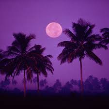 A full moon is a moon opposite from the sun. Paschal Full Moon And Easter