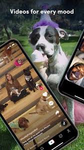 Tiktok es una comunidad global de videos cortos. Tiktok 22 1 1 Apk Mod Premium Unlocked Download