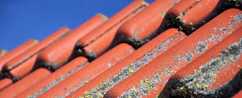 Dach Reinigen Kosten Preise