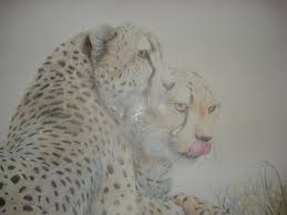 We did not find results for: Wild Animals Drawing By Iuliana Sava