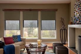 Call to learn more about window automation for your home or business. Solar Roller Dual Shades Contemporary Living Room Phoenix By Grand Valley Window Coverings Houzz