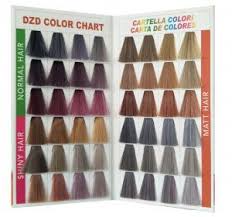 High Quality New Color Chart Dzd