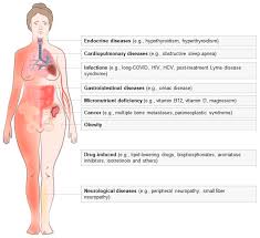 Common Non-Rheumatic Medical Conditions Mimicking Fibromyalgia: A Simple  Framework for Differential Diagnosis