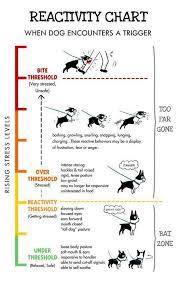 Reactivity Chart Dog Stress Dog Training Reactive Dog