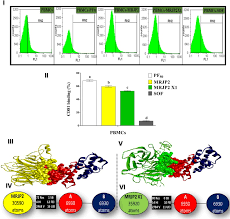 A useful and powerful database that was especially designed to provide a means of developing, deploying and distributing applications. Oracle Database 10g Enterprise Edition Download Torrent Lily Rue