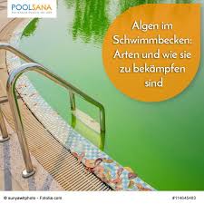 Pin Auf Pool Ratgeber Von Poolsana