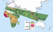 Bei homozygot erkrankten sind alle erythrozyten betroffen. Sichelzellkrankheit Wikipedia