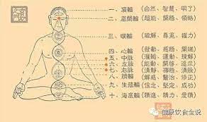 十四條經絡阻塞後的表現 tcm tips rei