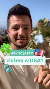 💚 Jak to jest z tym ziołem w 🇺🇸? 🤔