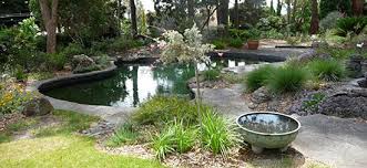 Garden Design Study Group Australian Native Garden Garden Plants Design Native Garden