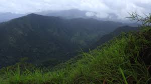 Join facebook viewpoints and get rewarded for helping improve the technology that powers apps and services you use every receive newsletters and community updates from facebook viewpoints. Neelimala Viewpoint Near Meenmutty Falls Wayanad Kerala Tourism