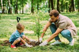 Planting a tree for a lost loved one. Anniversary Of A Death Popular Ways To Commemorate The Living Urn