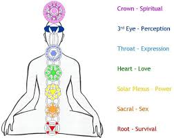 Image result for chakras