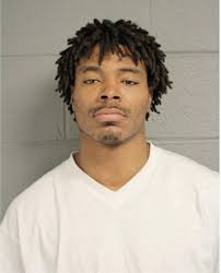 ᐅ Illinois Criminal Records 2009-2025