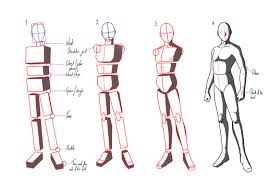How To Draw Anatomy Step By Step Trending Difficulty Any Dragoart Com