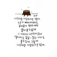 캘리그라피 힐링글귀 모음 블로그 포스팅은 오랜만이네요 하지만 앞으로 자주자주 업데이트 할 예정입 명언 삶의 교훈 인용구 영감을 주는 인용구