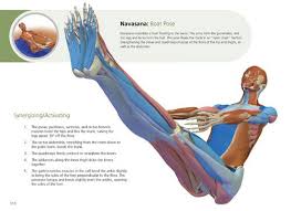 Always, in your particular case, consult your healthcare provider and obtain full medical clearance before practicing yoga or any other exercise program. The Key Poses Of Yoga Scientific Keys Volume 2 Yoga Anatomy Yoga Hatha Yoga