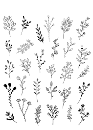 Flower Doodles Doodle Art Flowers Flower Doodles Art Drawings Simple