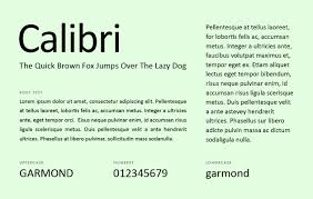 what fonts should you use for your resume ?