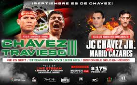 Now, with silva's wallet getting a bit heftier, their contest although he was content with his decision, when the opportunity to face chavez jr. Cazares Wants Chavez Jr To Be Shy And Retiring World Boxing Council