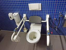 We work closely with you and occupational therapists to ensure all your. Accessible Toilet Wikipedia