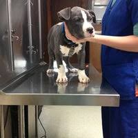 We did not find results for: Community Pet Hospital Bartlett Tn