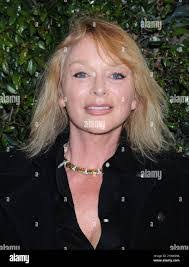 Sybil Stern's Instagram, Twitter & Facebook