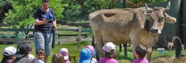Non perdere l'occasione di prenotare un agriturismo in campania, una regione di grande interesse storico e paesaggistico. Fattorie Didattiche In Arrivo 55 Milioni Per I Bambini In Campania L Occhio Di Salerno