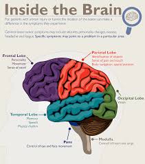 Doctors explain how to tell if you have a head cold or something more serious that requires medical attention, such as the flu, strep throat, meningitis, or mono. Basics Of Brain Tumors Johns Hopkins Medicine