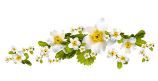 Si vous êtes le propriétaire ou son agent du droit d'auteur de l'image et pensez que tout contenu de ce site web peut causer des problèmes de droit. Guirlande Fleur Png Transparent Images Free Free Png Images Vector Psd Clipart Templates