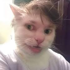 Hey everyone, I just joined the group! I've lived in the area for about 3  years.