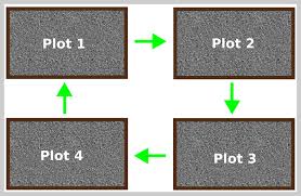 A Beginners Guide To Crop Rotation How It Works And Why