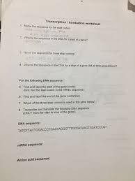Transcription the main goal of transcription is to turn dna into rna. Solved Transcription Translation Worksheet 1 Name The Se Chegg Com