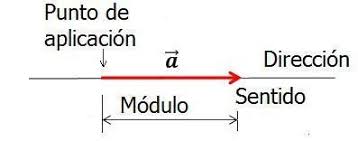 El módulo es siempre un número positivo o cero si es el vector nulo. Caracteristicas De Un Vector