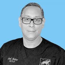 cuidado de mascotas Archives